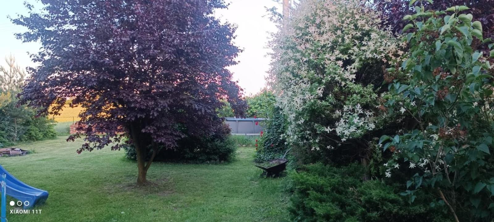 Apartament Pod Toruniem Grebocin  Exterior foto